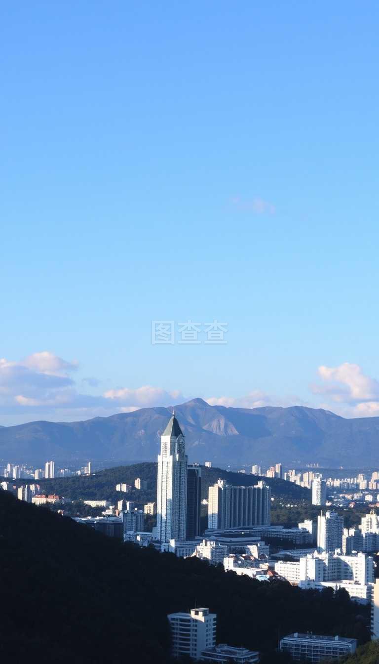 法律条文