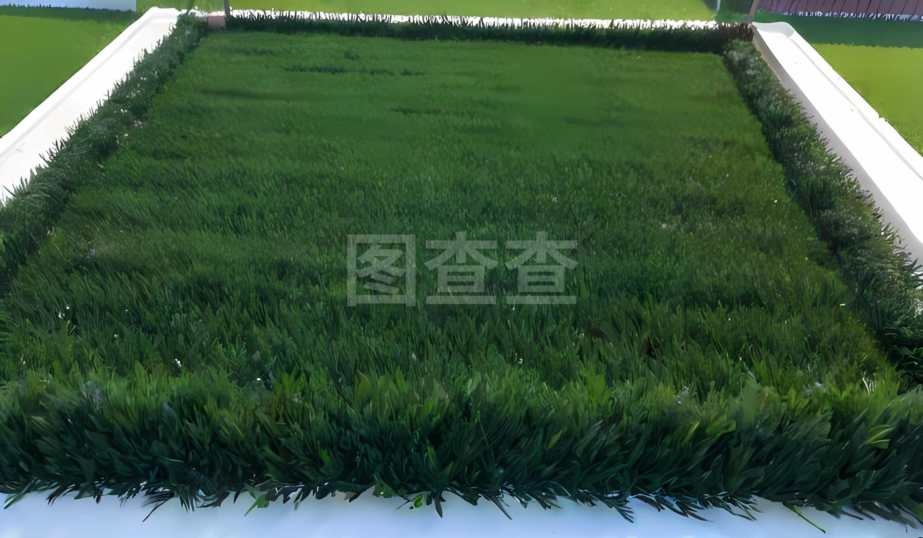 人造草坪:未来城市绿化的新趋势
