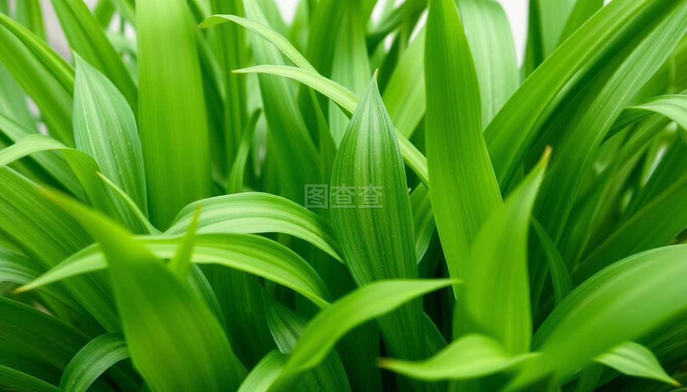 需求设计