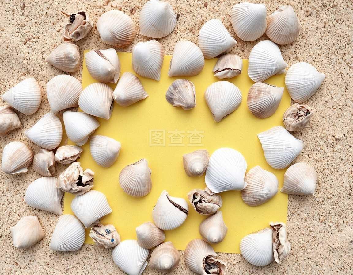 水产干货批发全攻略:从乐清产地到餐桌的拿货门道