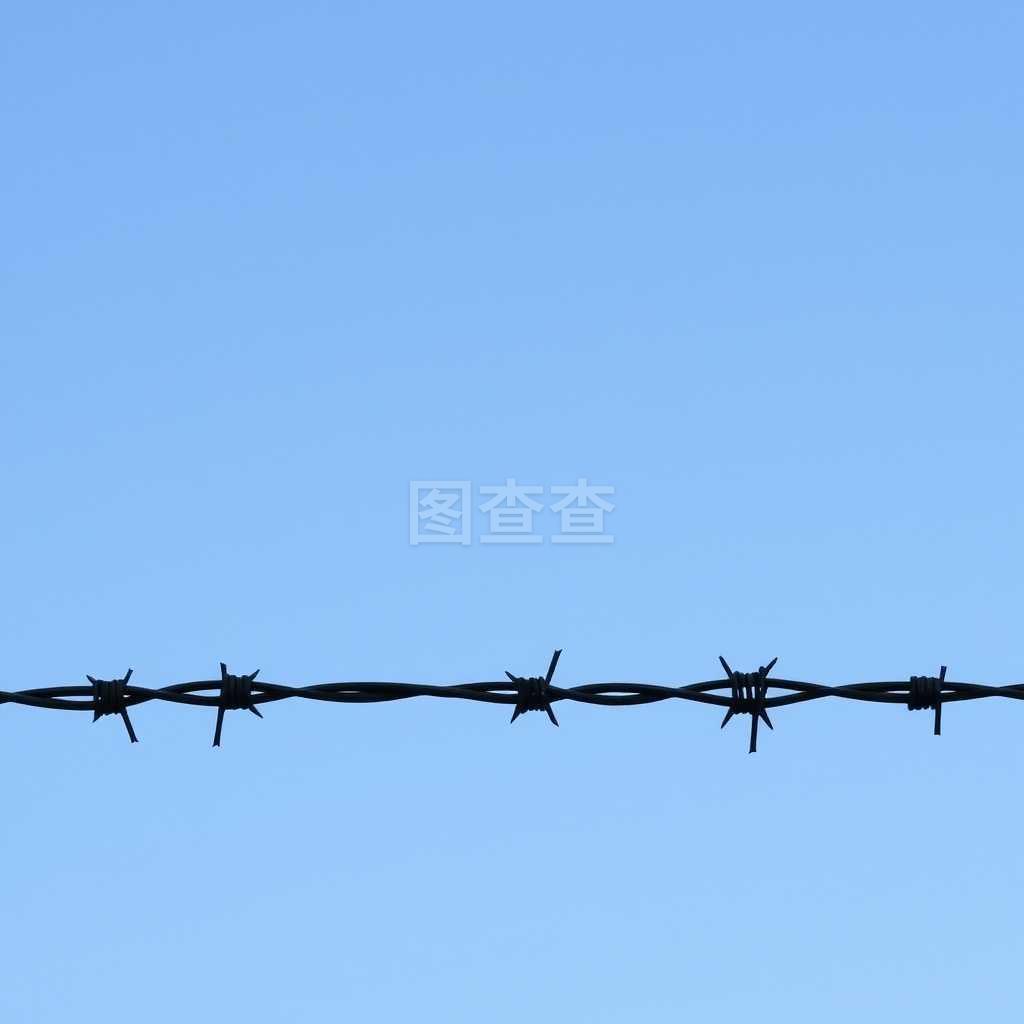 网片行业的革新——加高网片重塑防护屏障