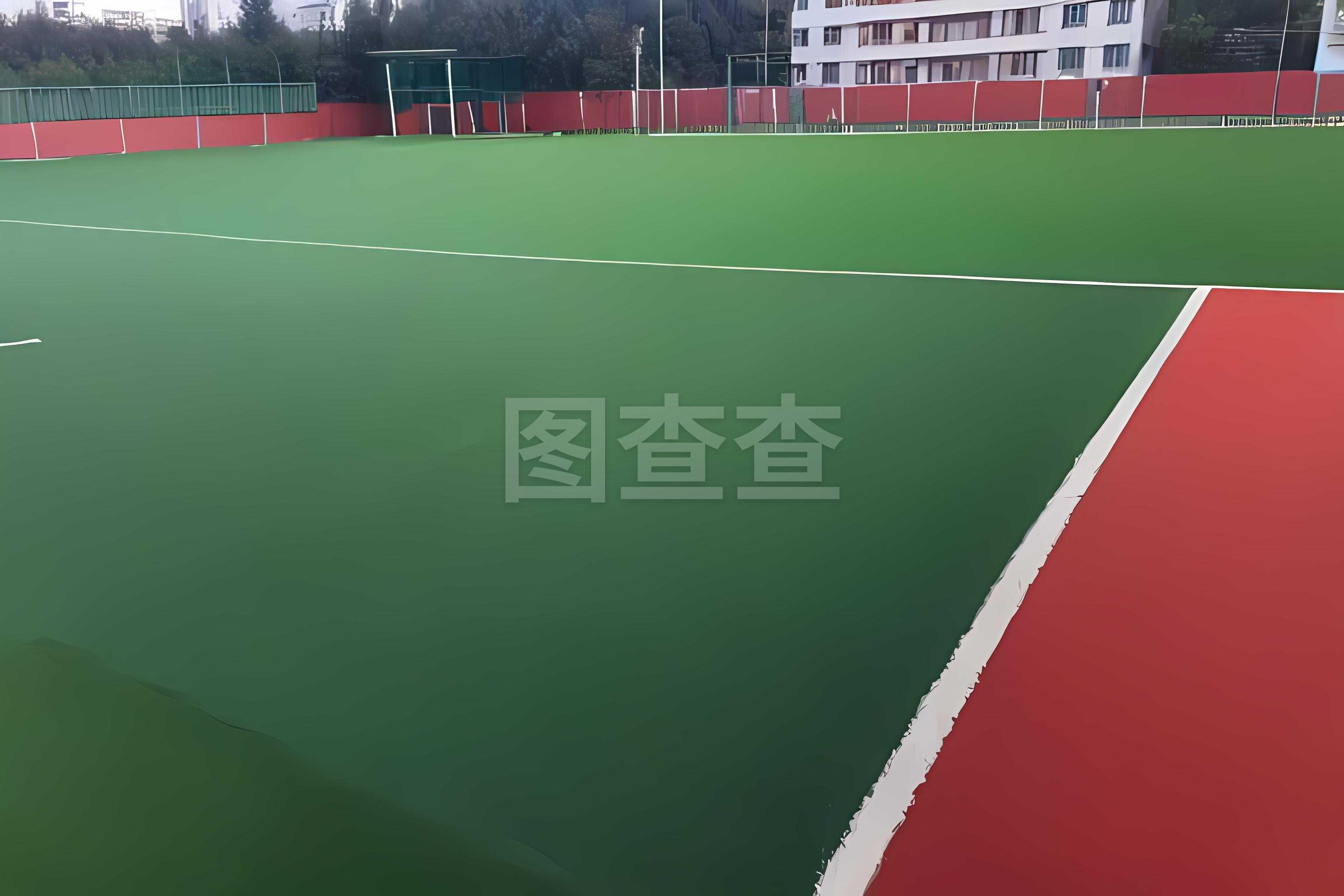 山东体育器材市场迎来新时代