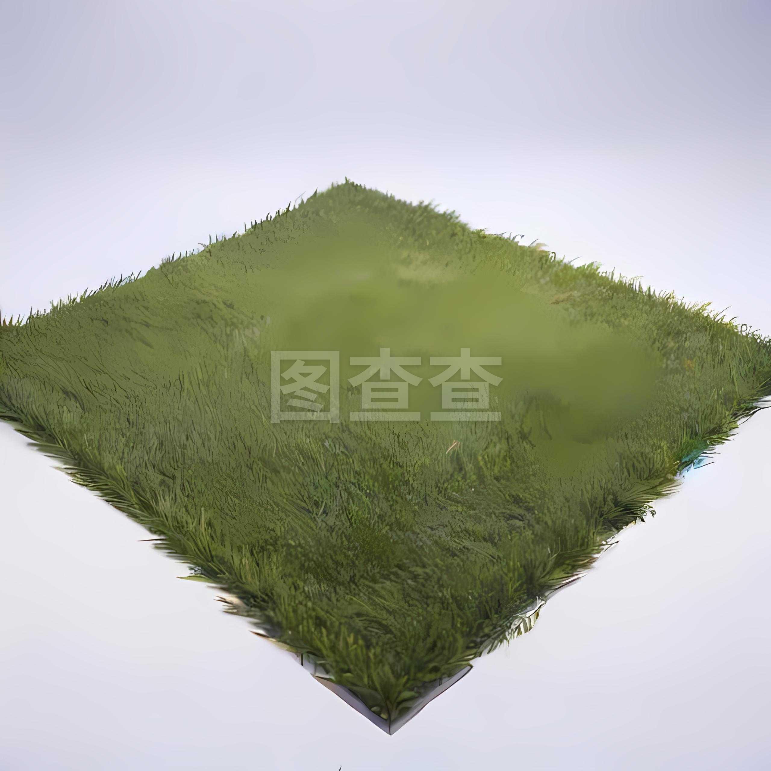 仿真草坪