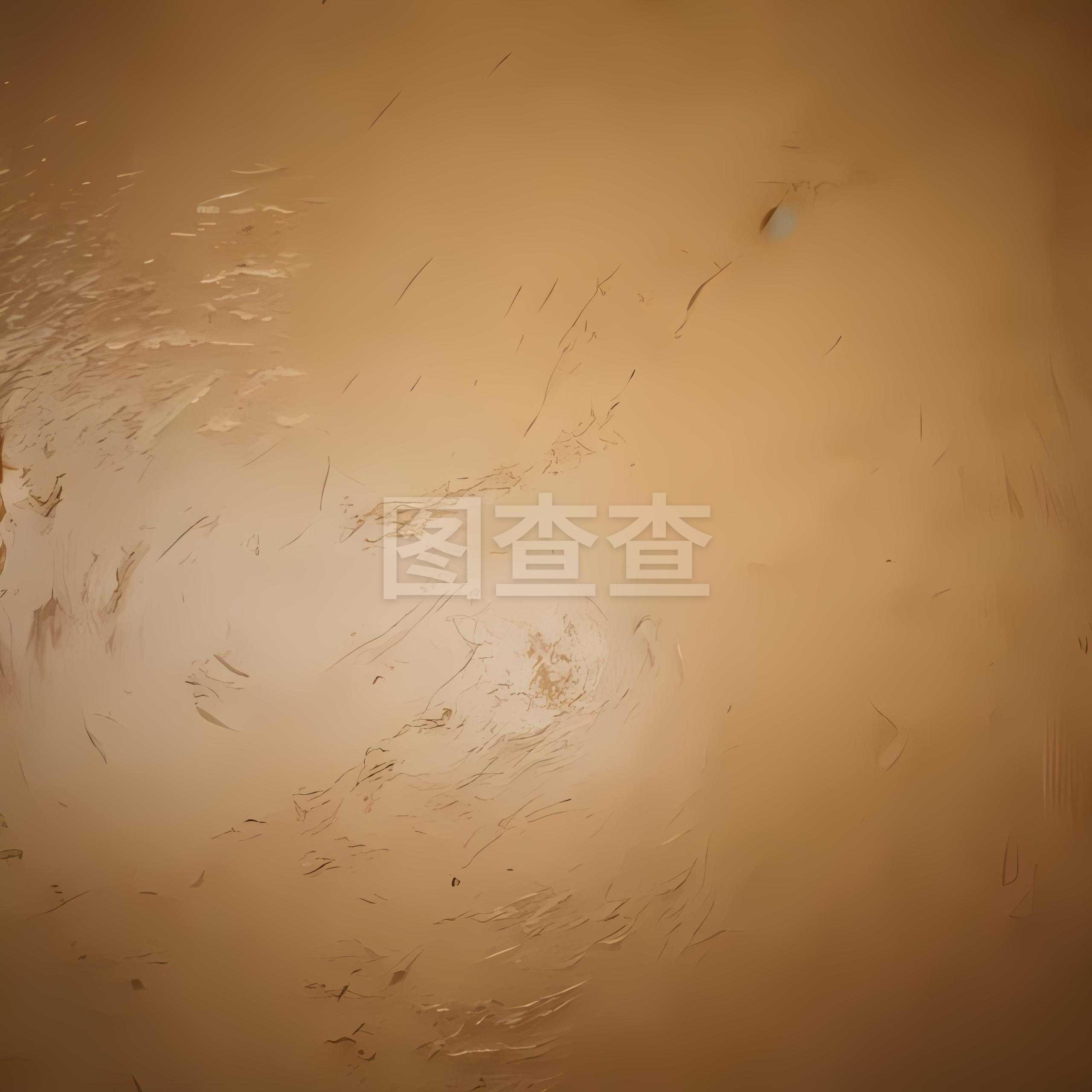 硅藻泥